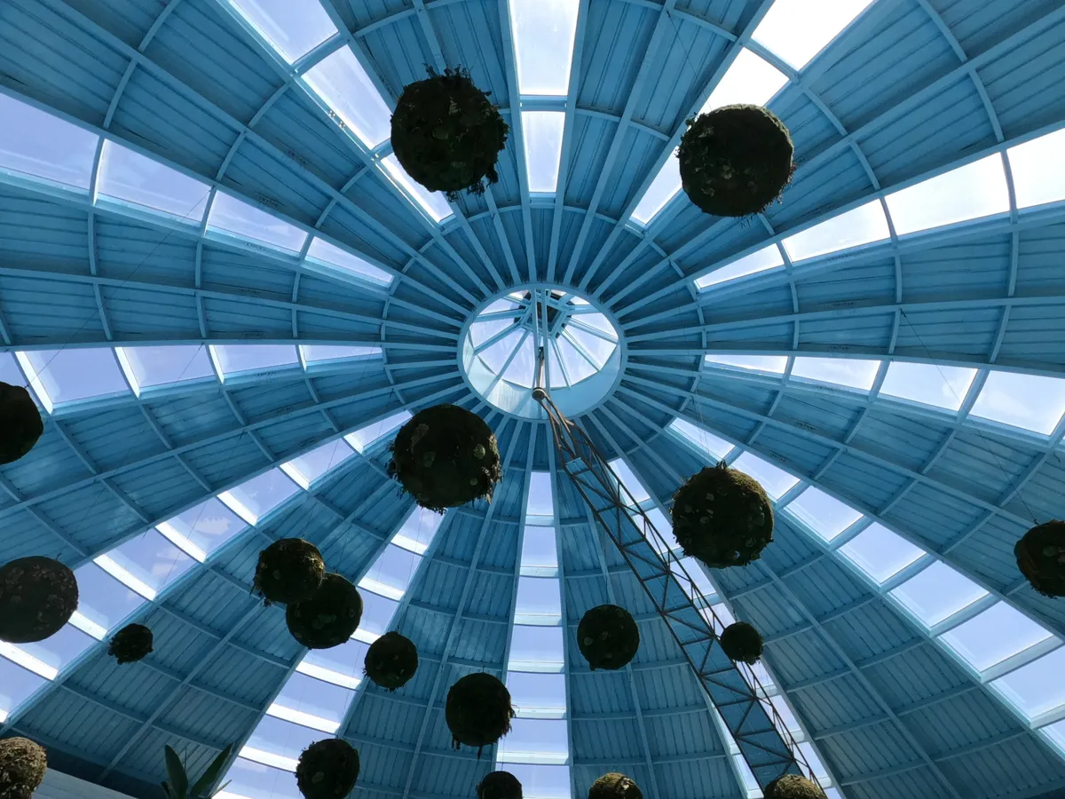 Kreisförmige Deckeninstallation aus Licht und Struktur